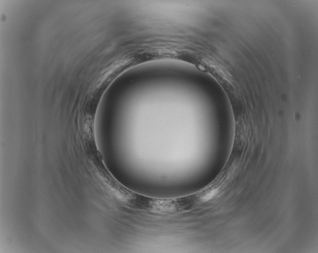 X0000090450141200707131238
