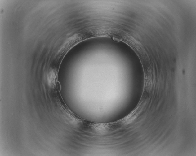 X0000090450142200707131238