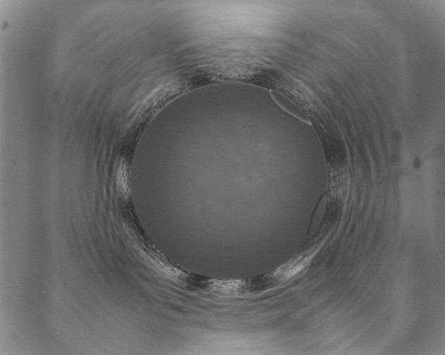 X0000090450143200707131238