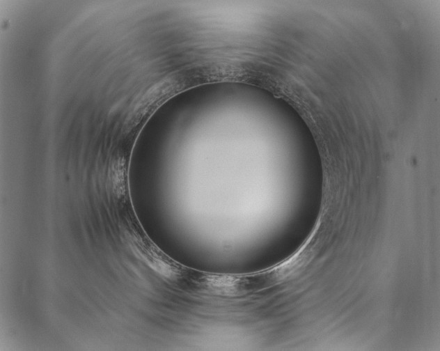 X0000090450144200707131237