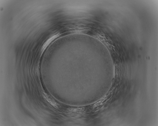 X0000090450147200707131237