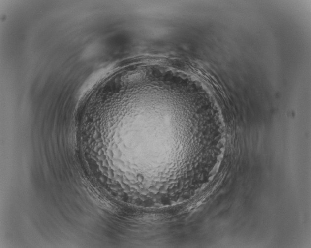 X0000090450149200707131237