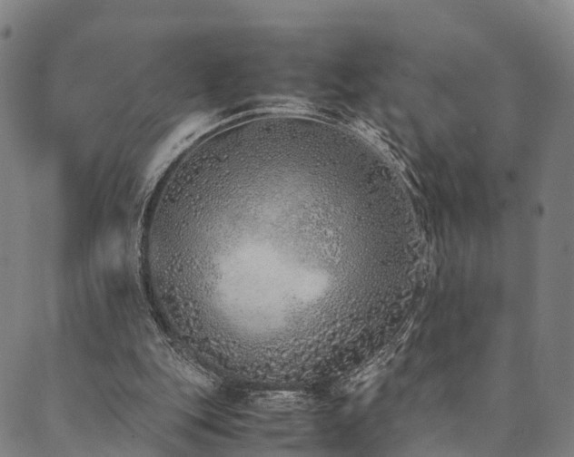 X0000090450151200707131237