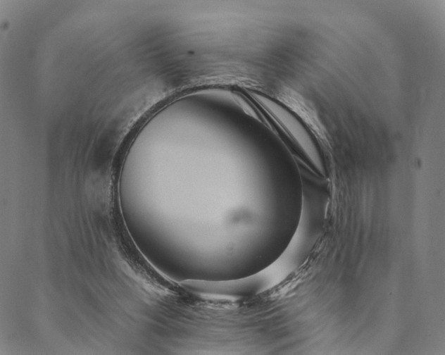 X0000090450156200707131237