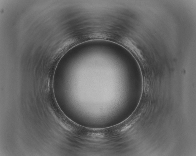 X0000090450157200707131237