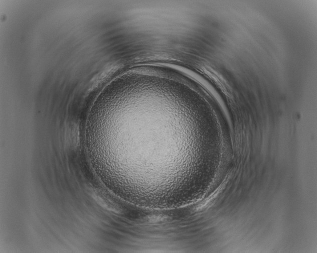 X0000090450158200707131237