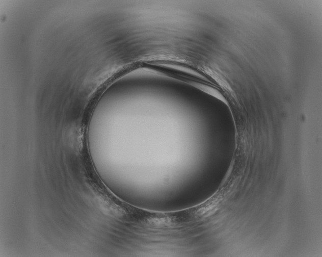 X0000090450160200707131237
