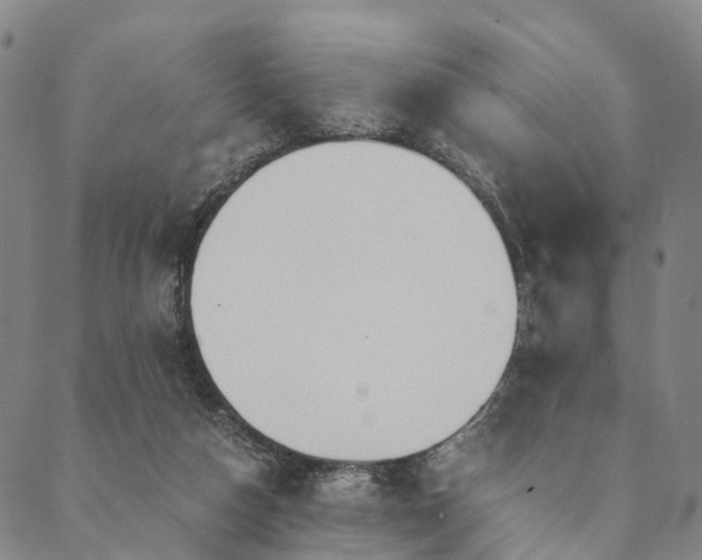 X0000090450162200707131237