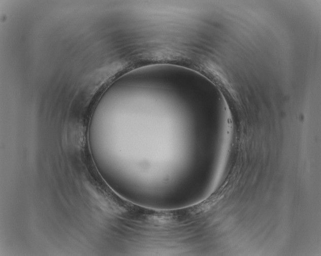 X0000090450164200707131237
