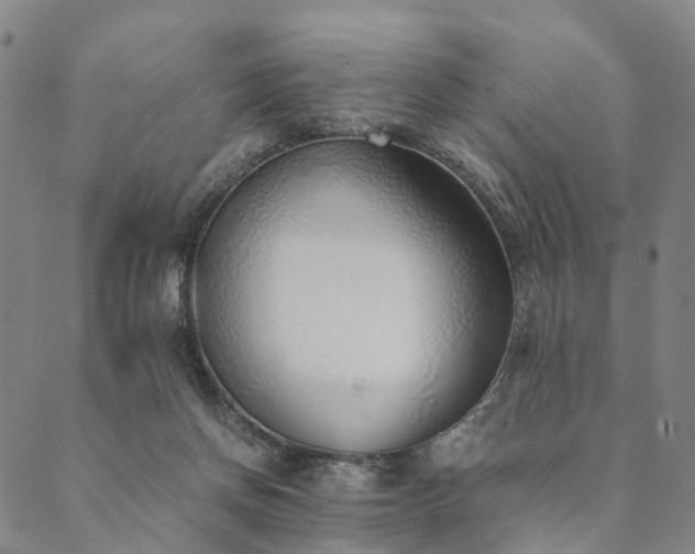 X0000090450166200707131237