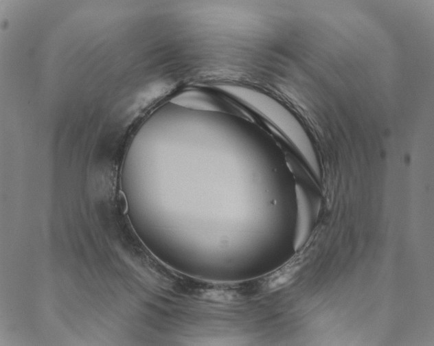 X0000090450168200707131237