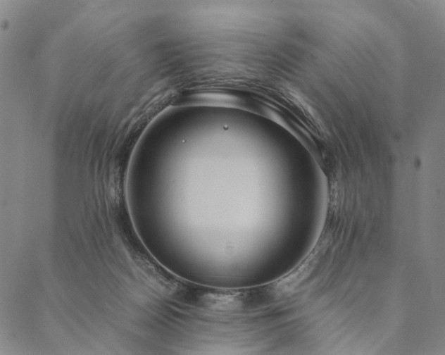 X0000090450170200707131237