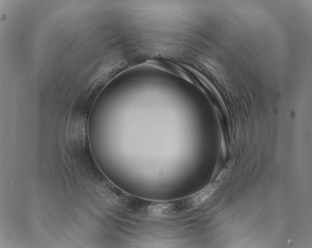 X0000090450172200707131237