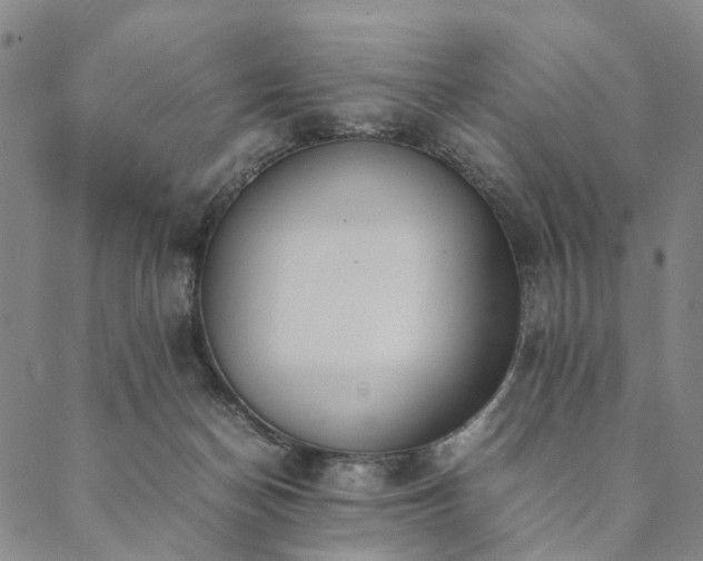 X0000090450174200707131237