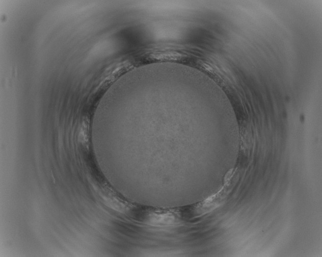 X0000090450175200707131237