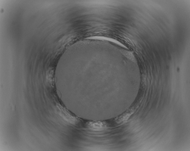 X0000090450181200707131237