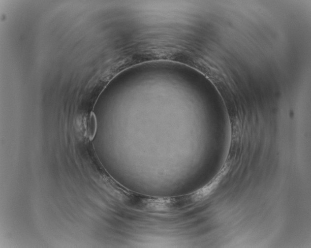 X0000090450182200707131237