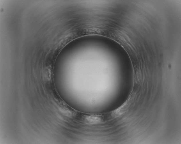 X0000090450183200707131237
