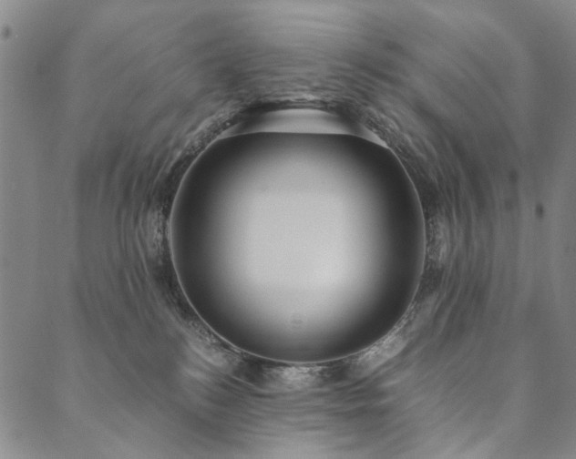 X0000090450184200707131237