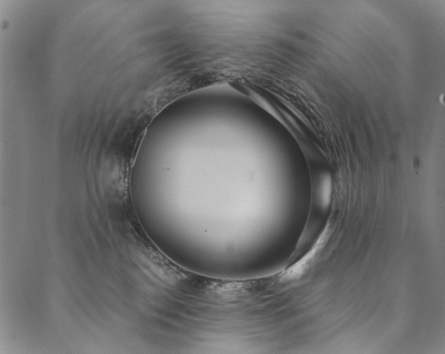 X0000090450186200707131237