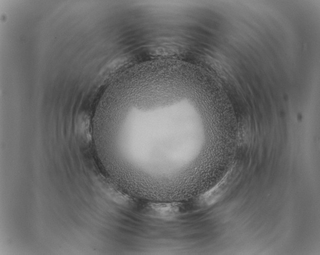 X0000090450187200707131237