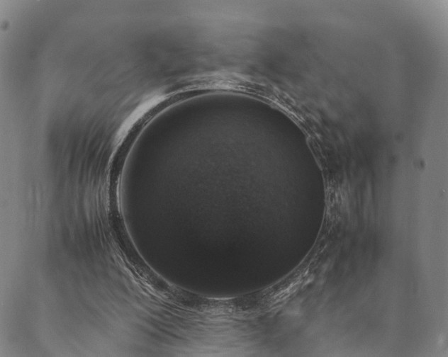 X0000090450200200707131237