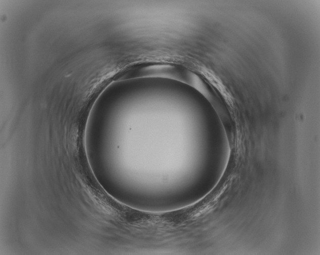 X0000090450201200707131237