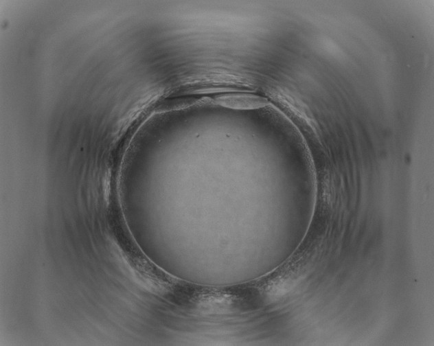 X0000090450206200707131236