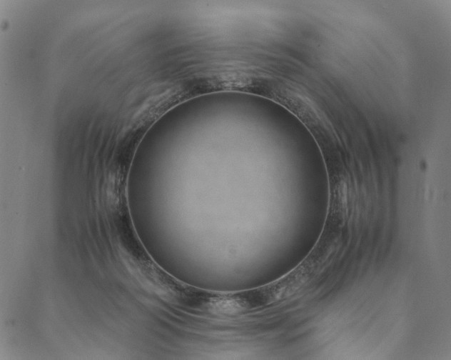 X0000090450218200707131236