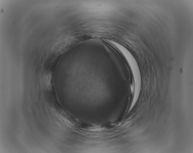 X0000090450219200707131236
