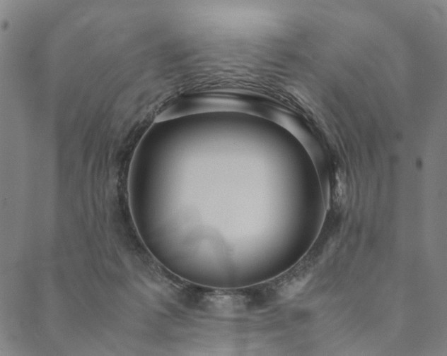 X0000090450221200707131236