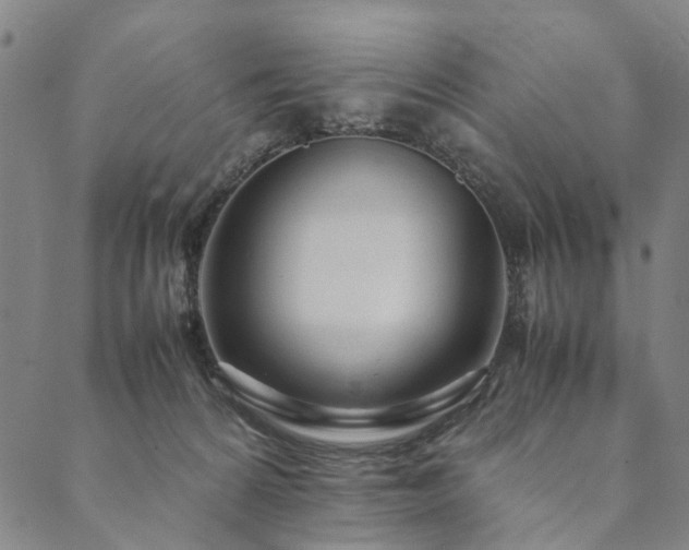 X0000090450224200707131236