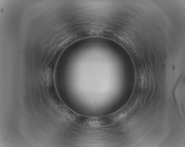 X0000090450228200707131236