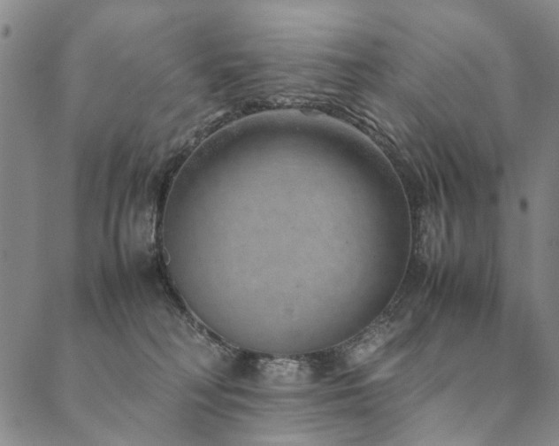 X0000090450230200707131236