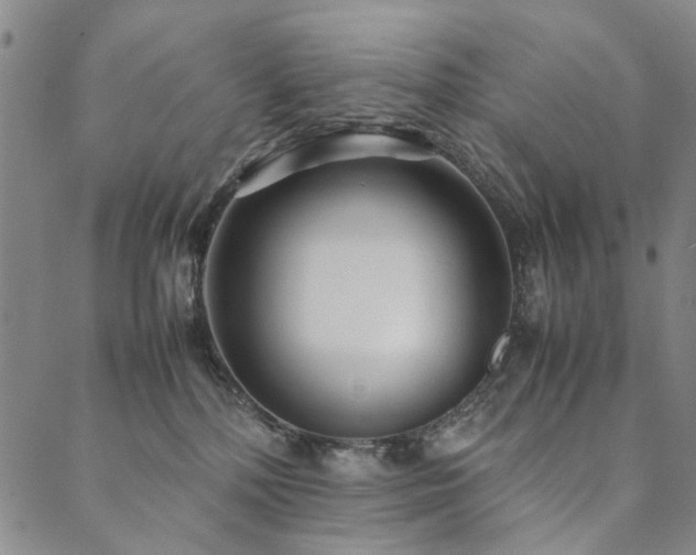 X0000090450232200707131236