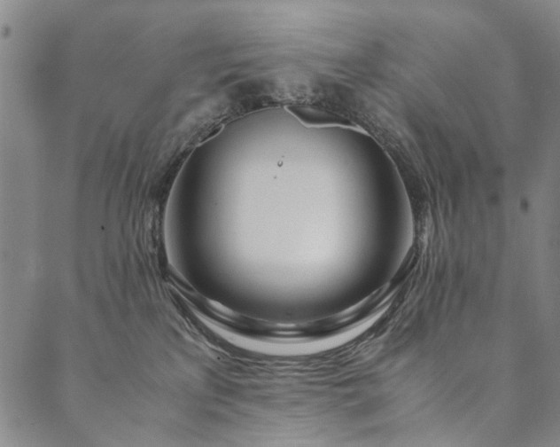 X0000090450233200707131236