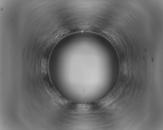 X0000090450234200707131236