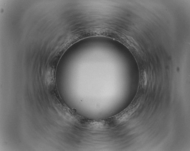 X0000090450236200707131236