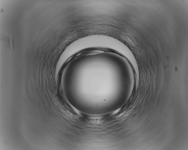 X0000090450237200707131236