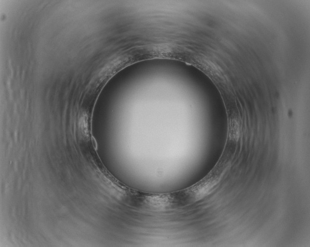 X0000090450238200707131236