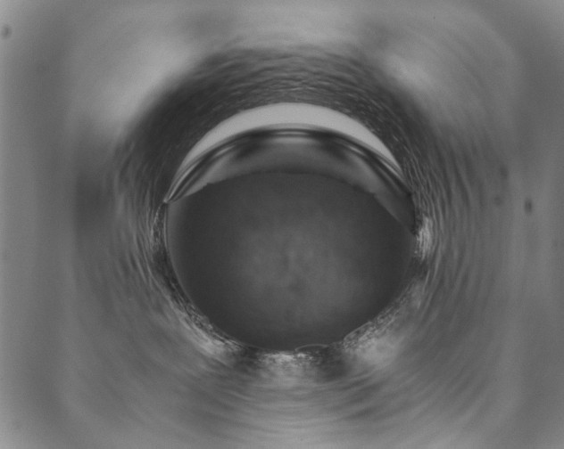X0000090450239200707131236