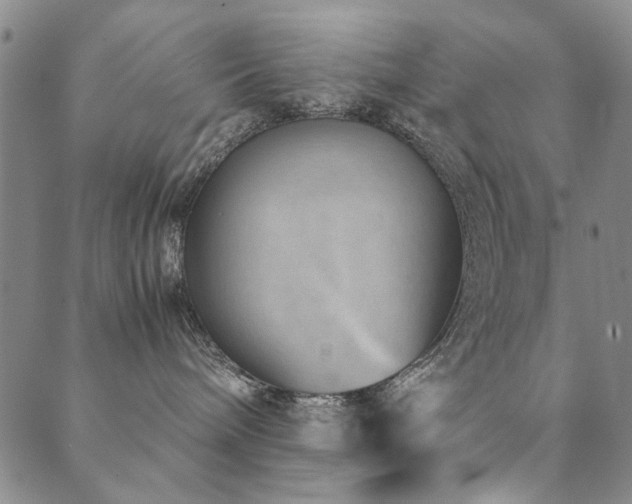 X0000090450240200707131236