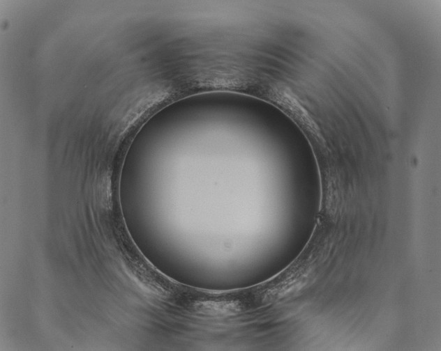 X0000090450251200707131235