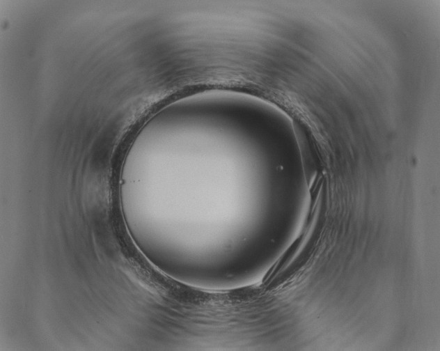 X0000090450252200707131235