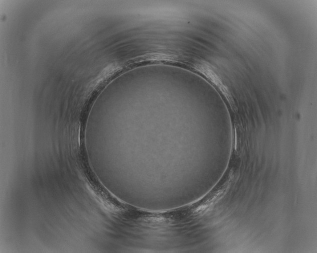 X0000090450253200707131235