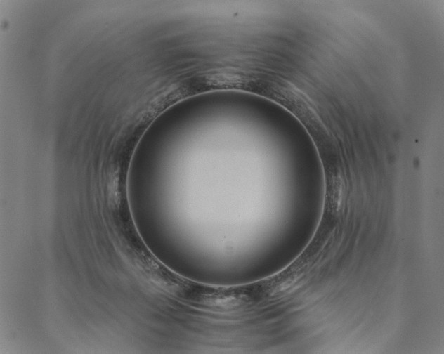 X0000090450267200707131236