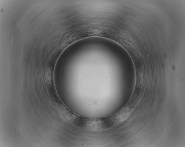 X0000090450274200707131236