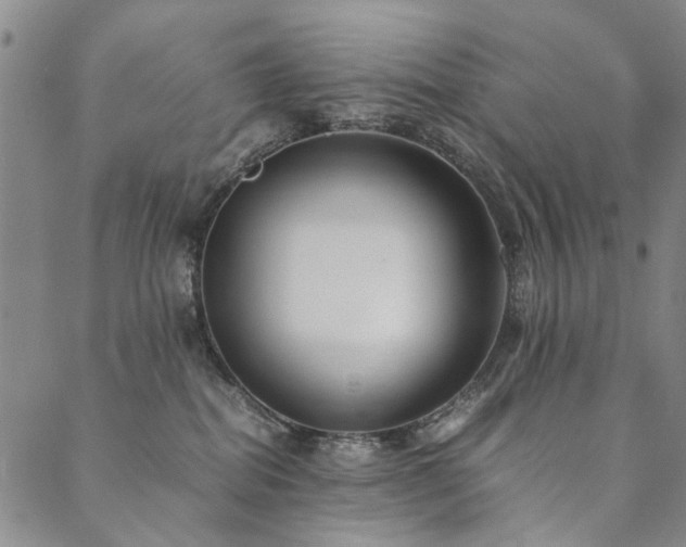 X0000090450282200707131236