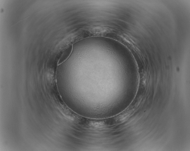 X0000090450283200707131236