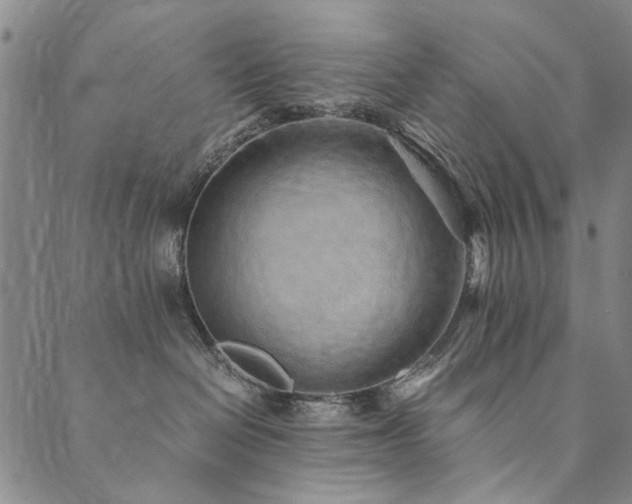 X0000090450286200707131236